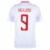 Original Fußballtrikot Dänemark Hojlund 9 Heimtrikot EURO 2024 Für Herren